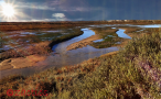 Parque Natural da Ria Formosa