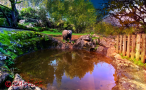Ecoparque Sensorial da Pia do Urso
