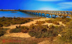 Parque Natural da Ria Formosa