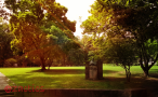Parque Municipal Aquilino Ribeiro